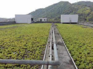 雨水回收利用為何能迅速的發(fā)展起來(lái)